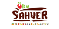 sahver logo